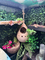 Hanging Hermit Crab Hideout Pod | Natural Terrarium Decor
