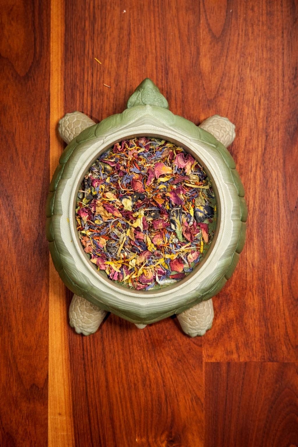 Turtle Foraging Food Dish | Hermit Crab, Reptile & Invertebrate Enrichment Bowl