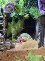Dinosaur Foraging Dish and Chia Seed Garden | T-Rex  Stegosaurus  Triceratops | 3D Printed PLA | Worm Castings & Chia Seeds Included
