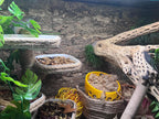 Mossy Hideaway -- 3D Printed Moss Pit - New Design and More Sizes!