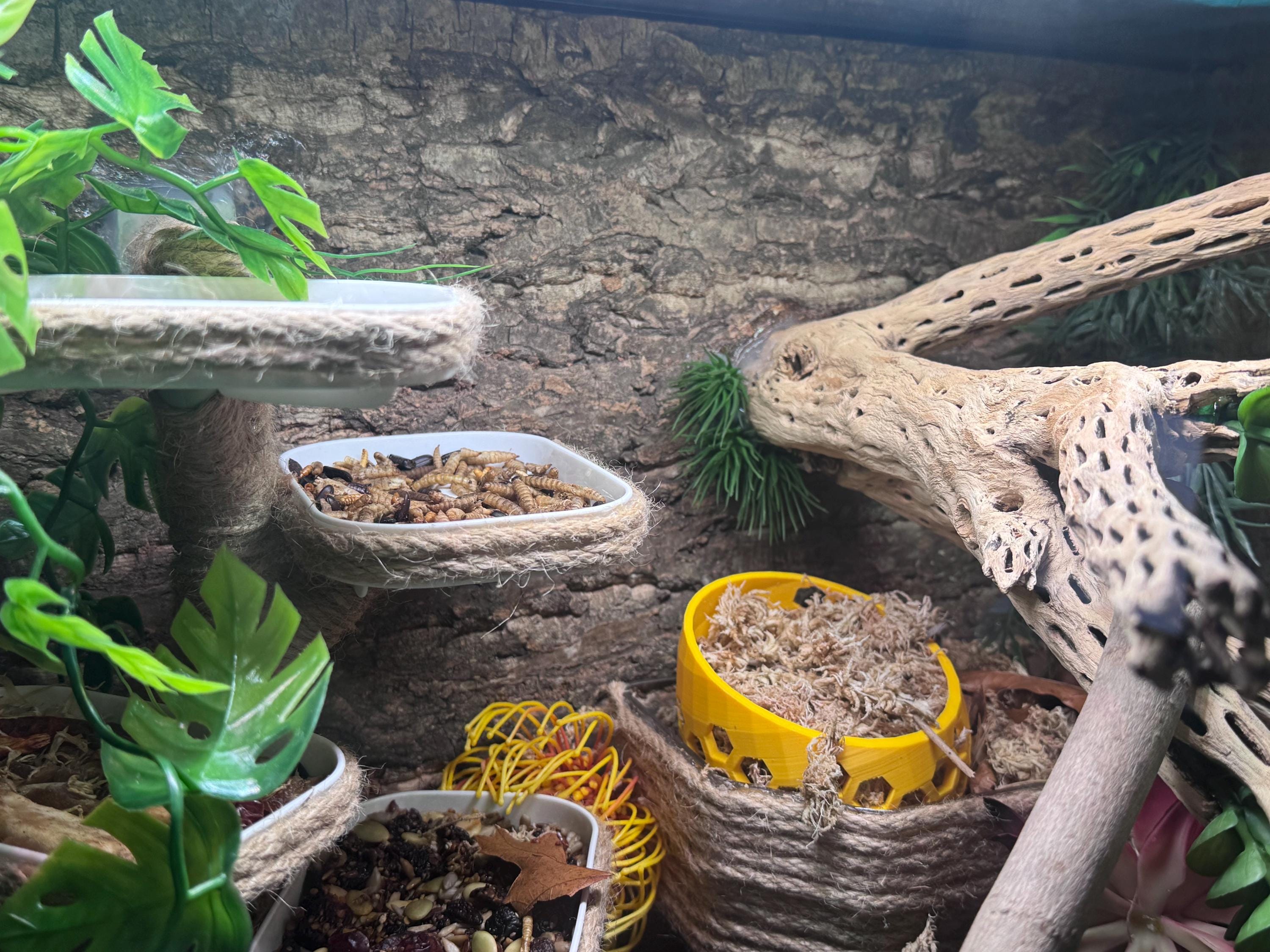 Mossy Hideaway -- 3D Printed Moss Pit - New Design and More Sizes!