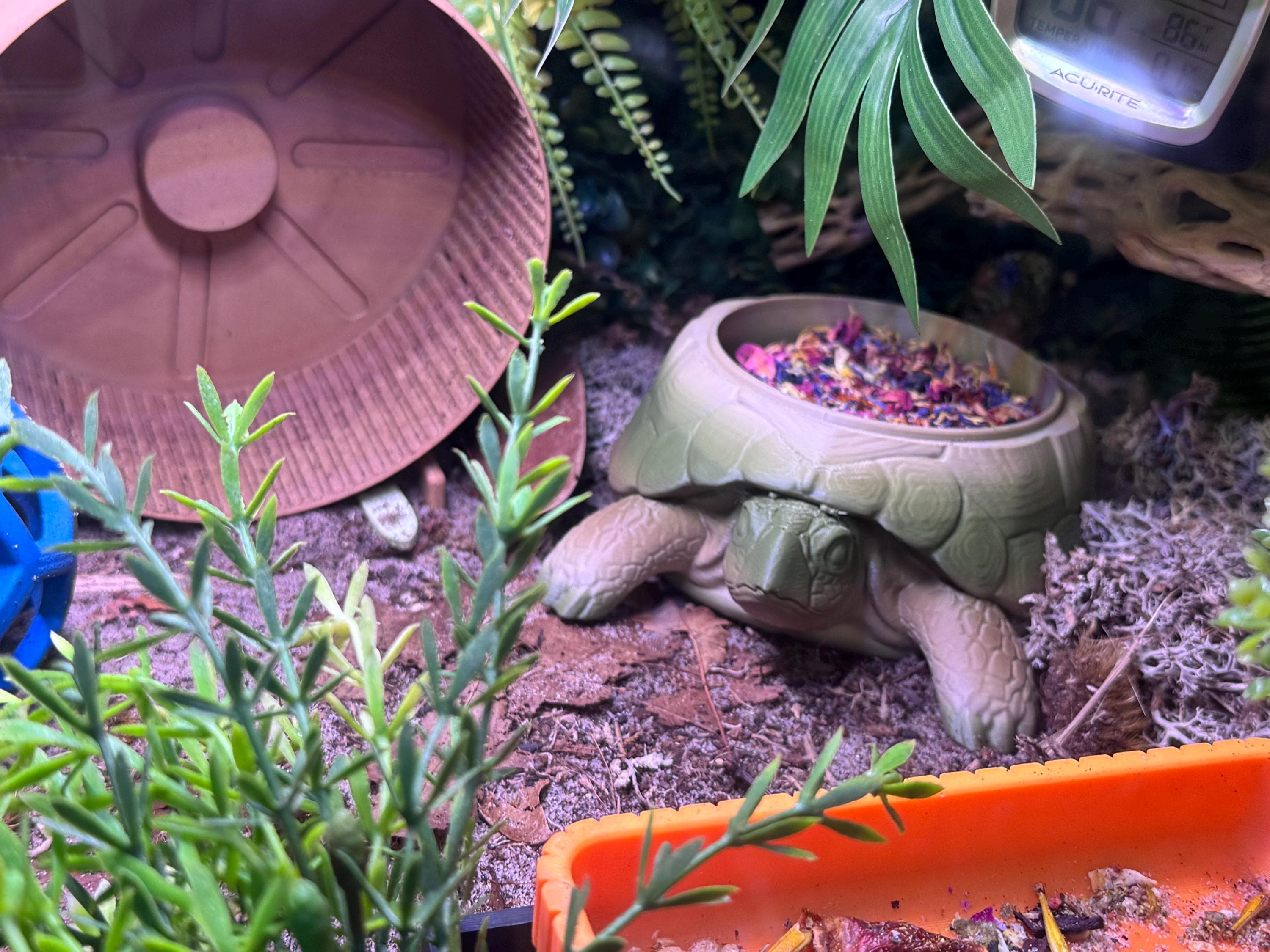 Turtle Foraging Food Dish | Hermit Crab, Reptile & Invertebrate Enrichment Bowl