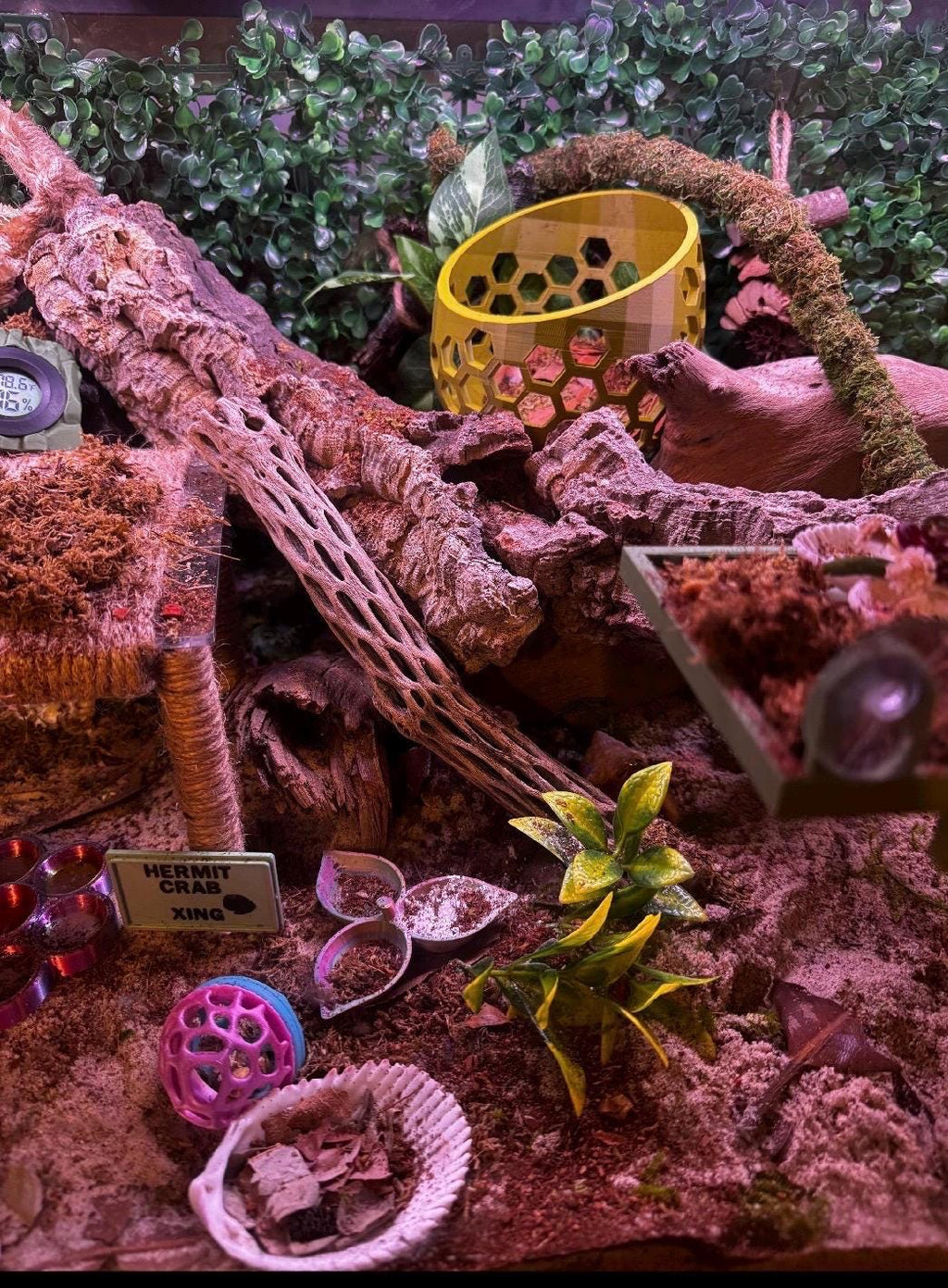 Mossy Hideaway -- 3D Printed Moss Pit - New Design and More Sizes!
