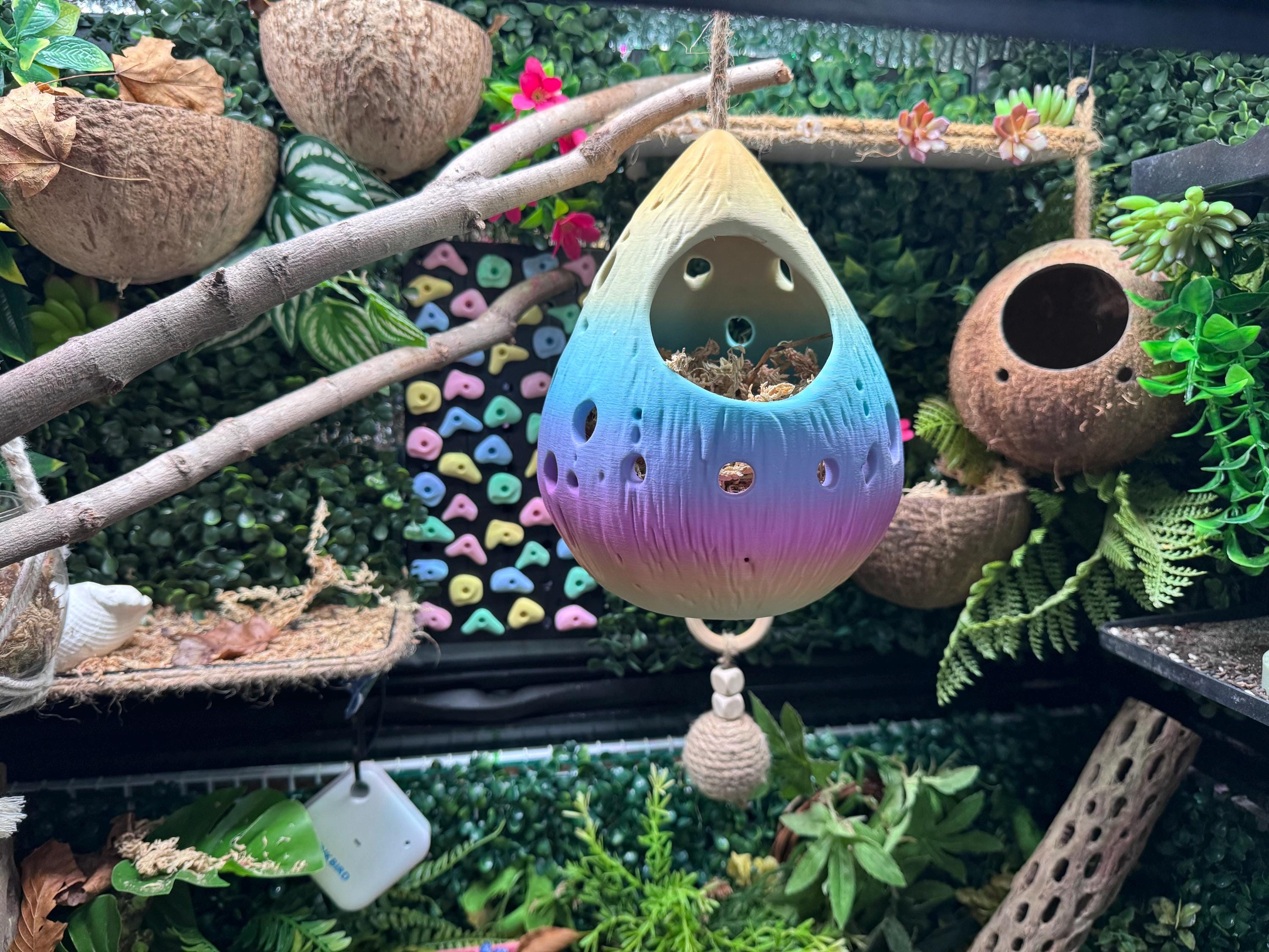Hanging Hermit Crab Hideout Pod | Natural Terrarium Decor