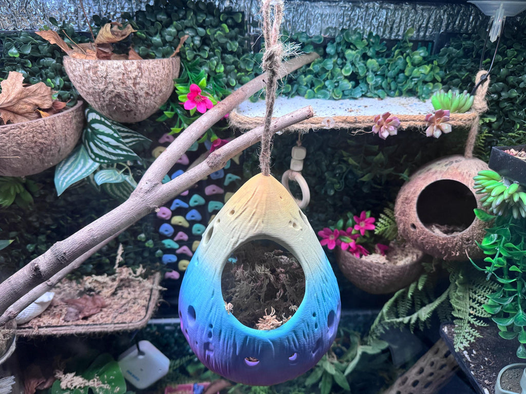 Hanging Hermit Crab Hideout Pod | Natural Terrarium Decor