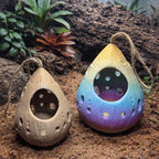 Hanging Hermit Crab Hideout Pod | Natural Terrarium Decor